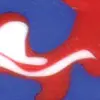 4th of July Patriotic Camo Acrylic