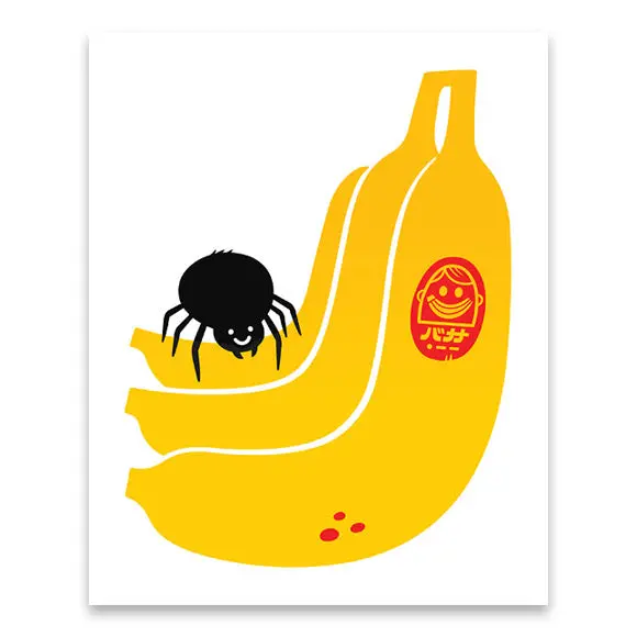 Banana Spider Illustration Print – 8×10 Inch Nature Art