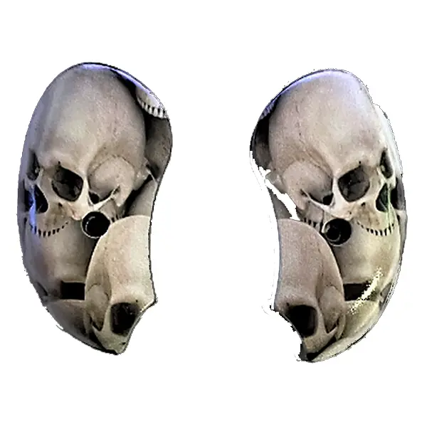 Bond Arms Derringer XL Grips – Skull-Themed UV-HD Printed Design