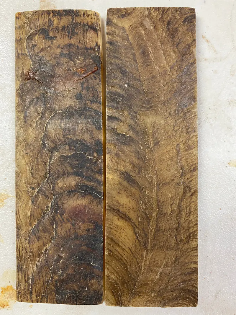 Himalayan Ram Horn Knife Scales – Organic Texture and Warm Tone
