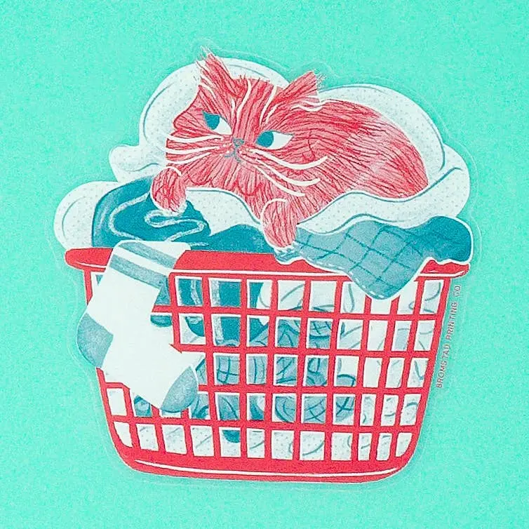 Laundry Cat Transparent Sticker