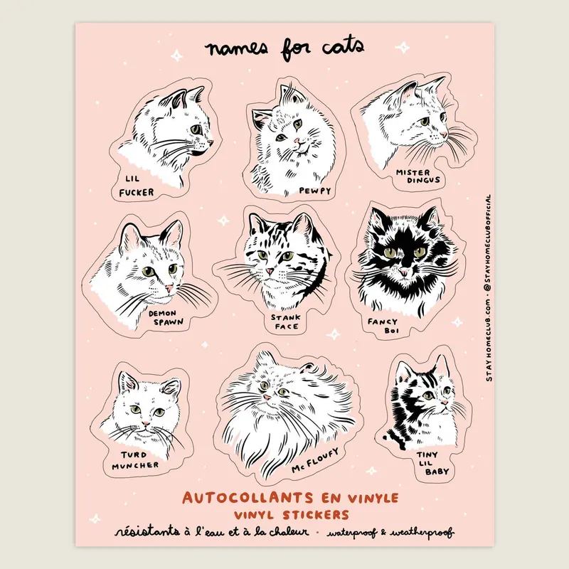 Names for Cats Sticker Sheet – 8×10 Inch Collection