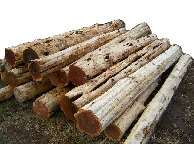 Rustic Cedar Log Posts — Natural Finish, Structural Grade