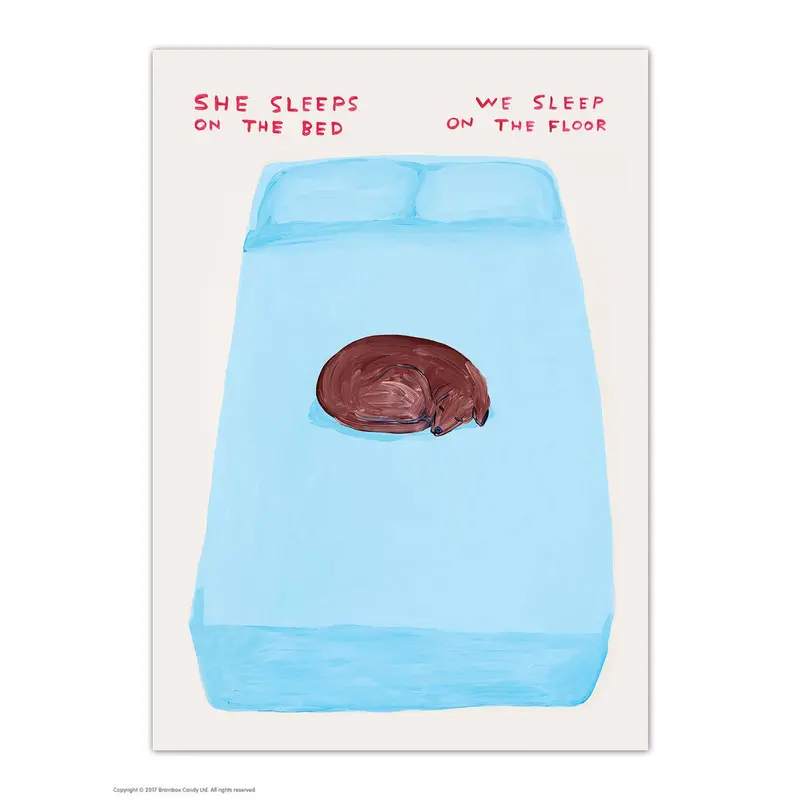 ‘She Sleeps On The Bed’ Art Postcard by David Shrigley