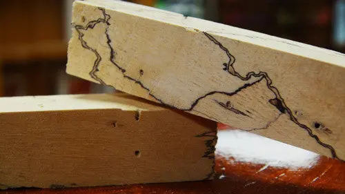 Spalted Tamarind Wood Blanks for Unique Turned Projects