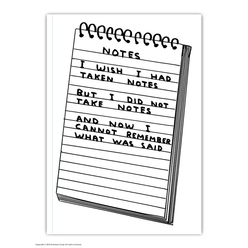 ‘Wish I’d Taken Notes’ A6 Notebook by David Shrigley