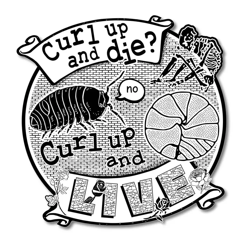 Witty ‘Curl Up and Die? No.’ Sarcastic Sticker