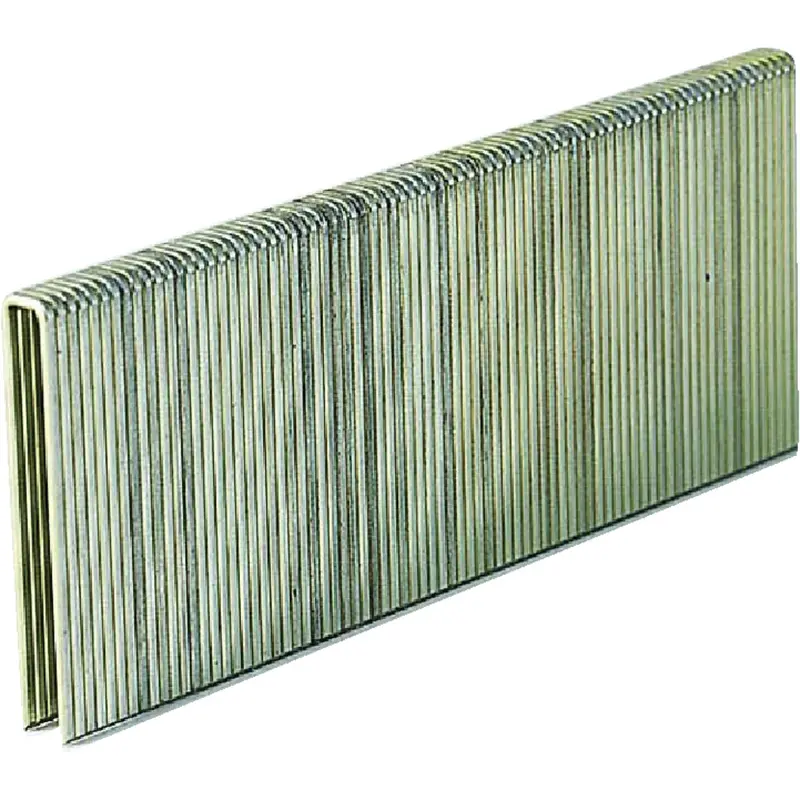 Grip-Rite 18-Gauge Galvanized L-Crown Finish Staples – 1/4" X 1" (5000-Pack) 1